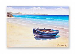 BOAT IN COAST