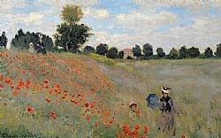 THE POPPY FIELD